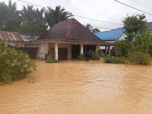Soal Banjir Kalsel, Denny Indrayana Keluhkan Tambang-Sawit ke Jokowi