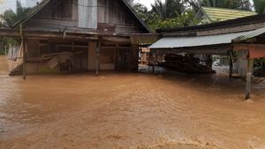 Foto-foto Terkini Banjir di Kalsel