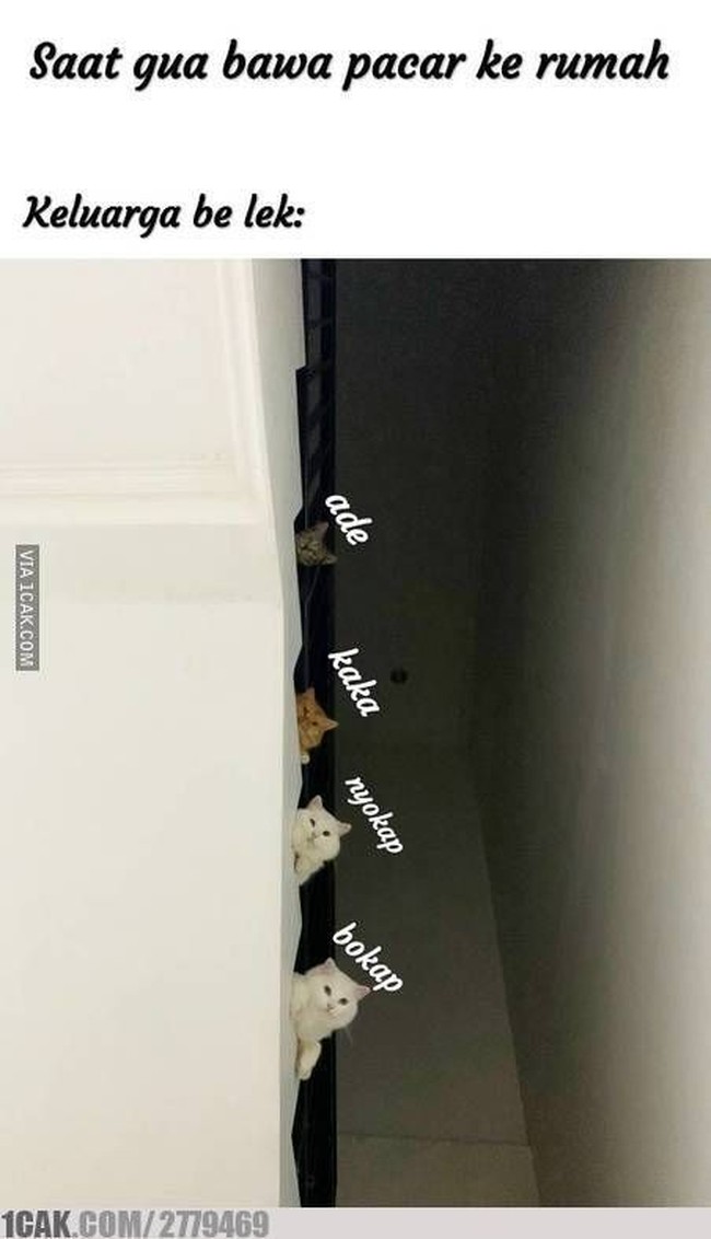 Momen saat bawa pacar ke rumah. Anggota keluarga auto jadi mata-mata kelas kakap. Siapa yang pernah ngalamin kayak gini juga? Foto: 1cak.com