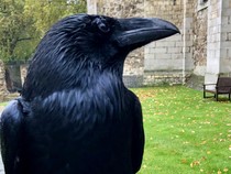 Kalender Jawa Rabu Kliwon 17 Juli 2024: Firasatnya Kuat