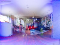 Perbedaan Pandang Mata Manusia dan Hewan
