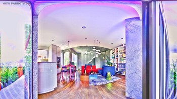Ini pandangan mata burung beo ketika melihat ruangan. Foto: HomeAdvisor  