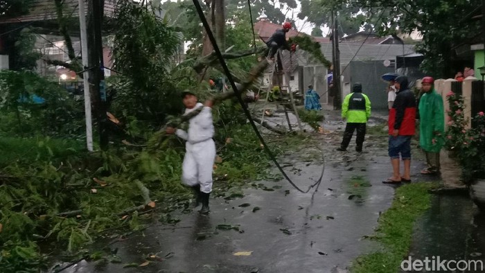 Pohon tumbang di Bandung.
