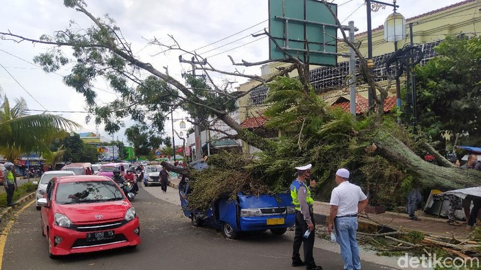 Pohon tumbang timpa mobil di Cianjur.