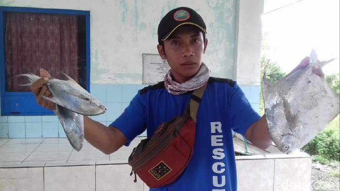 Salah seorang nelayan menunjukkan ikan bawal laut yang harganya Rp 250 ribu per kg
