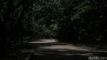 Taman Waduk Pluit Sudah Tak Terawat Didiamkan Pula