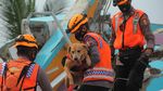 Anjing Pelacak Dikerahkan untuk Evakuasi Korban Gempa Mamuju