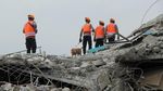 Anjing Pelacak Dikerahkan untuk Evakuasi Korban Gempa Mamuju