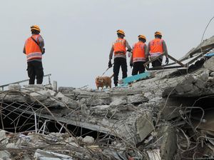 Update Gempa Sulbar: 81 Orang Tewas, Pengungsi Akan Dites Rapid Antigen