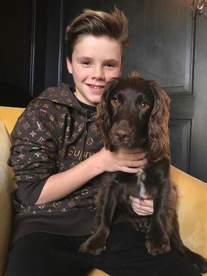 Cruz Beckham jual sweater bekas harga fantastis.