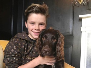 Anak David Beckham Bikin Netizen Ternganga, Jual Sweater Rusak Rp 2,1 M