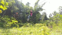 Lokasi wahana ini di titik start keberangkatan Sedekan River Tubing. Kini tempat tersebut telah ditata menjadi sebuah tempat destinasi wisata menarik. (Dadang Hermansyah/detikTravel)
