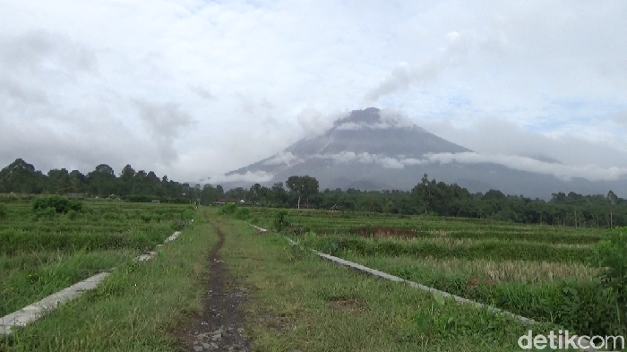 Gunung Semeru (Nur Hadi Wicaksono/detikcom)