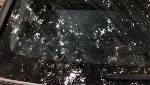 Gunung Semeru Semburkan Awan Panas, Probolinggo Diguyur Hujan Abu