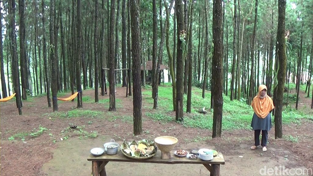 Makan di Tengah Hutan Pinus Buaran, Banjarnegara