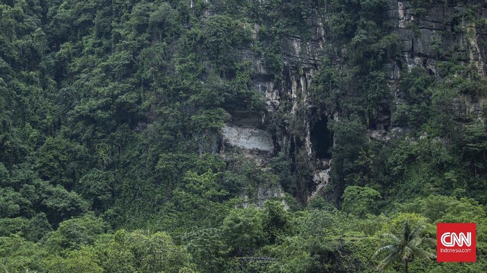 Menjamah Hutan Karst Terbesar Ketiga Di Dunia Aktivitas warga di hutan karst Rammang-Rammang, Maros, Sulawesi Selatan, Selasa, 29 Desember 2020. Kawasan Rammang-Rammang merupakan kawasan hutan karst atau pegunungan kapur terbesar ketiga di dunia setelah kawasan karst di China Selatan dan Madagaskar. CNN Indonesia/Bisma Septalisma