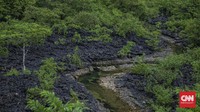 Keinginan itu dikatakan Sandiaga saat berkunjung ke kawasan Kampung Rammang-rammang dan ikut mensosialisasikan program Desa Wisata, Kamis (17/6/2021). CNN Indonesia/Bisma Septalismaaa