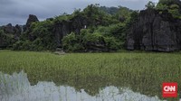 Kementerian Pariwisata dan Ekonomi Kreatif (Kemenparekraf) mendukung desa wisata Rammang-rammang, Maros, Sulsel mendapatkan status UNESCO Geopark. CNN Indonesia/Bisma Septalismaaa