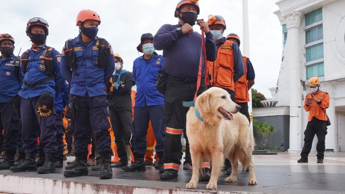 Petugas Basarnas Libatkan K9 untuk Pencarian Korban Gempa Sulbar