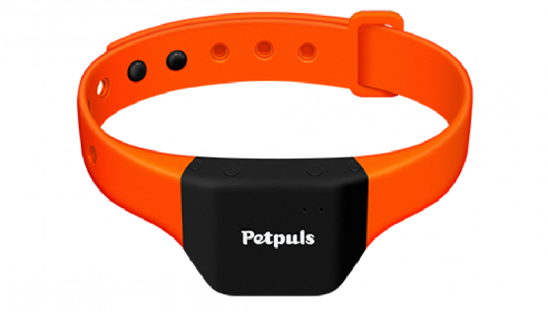 Teknologi aneh di CES 2021