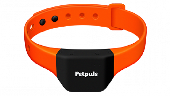 Petpuls adalah kalung pintar dengan kecerdasan buatan untuk anjing peliharaan. Gadget ini bisa membantu anjing berbicara dengan mendeteksi, melacak dan menganalisa lima emosi utama anjing seperti senang, gelisah, marah, sedih atau sedang santai.  Foto: Petpuls Lab