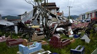 Korban jiwa akibat gempa di Sulawesi Barat terus bertambah. Per sore ini, total korban yang meninggal mencapai 73 orang. Dari 73 korban jiwa tersebut, 9 di antaranya berasal di Majene. Sedangkan 64 lainnya berasal dari Mamuju.