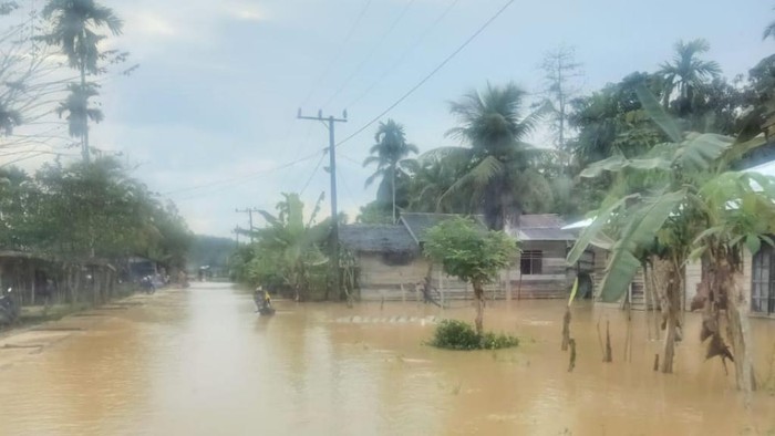 Banjir di Aceh Timur (dok. Istimewa)