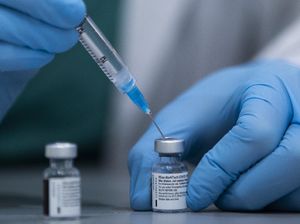 Bio Farma Ungkap Alasan Vaksin Pfizer-Moderna Belum Juga Masuk RI