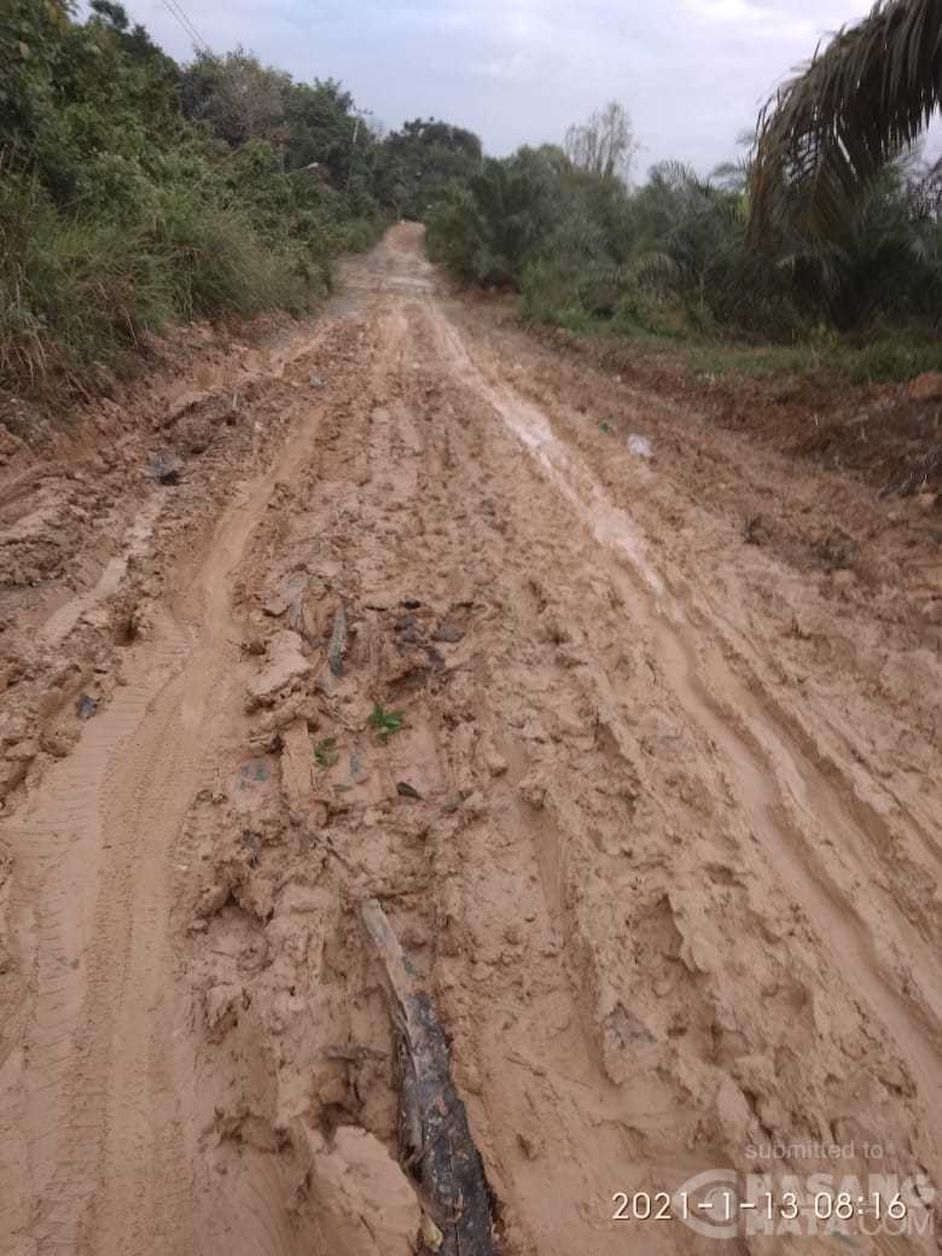Jalan menuju desa transmigrasi Buket Hagu, Kecamatan Lhoksukon, Aceh Utara, rusak. (Wahyu via Pasangmata)