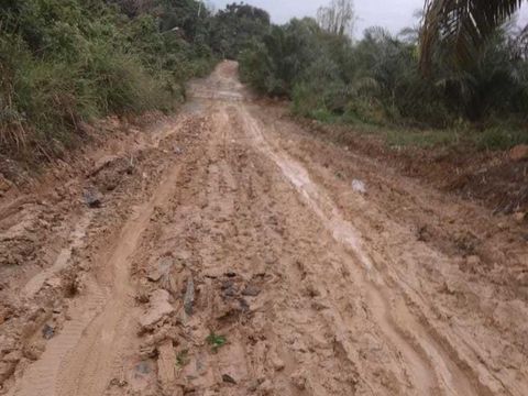 Jalan menuju desa transmigrasi Buket Hagu, Kecamatan Lhoksukon, Aceh Utara, rusak. (Wahyu via Pasangmata)