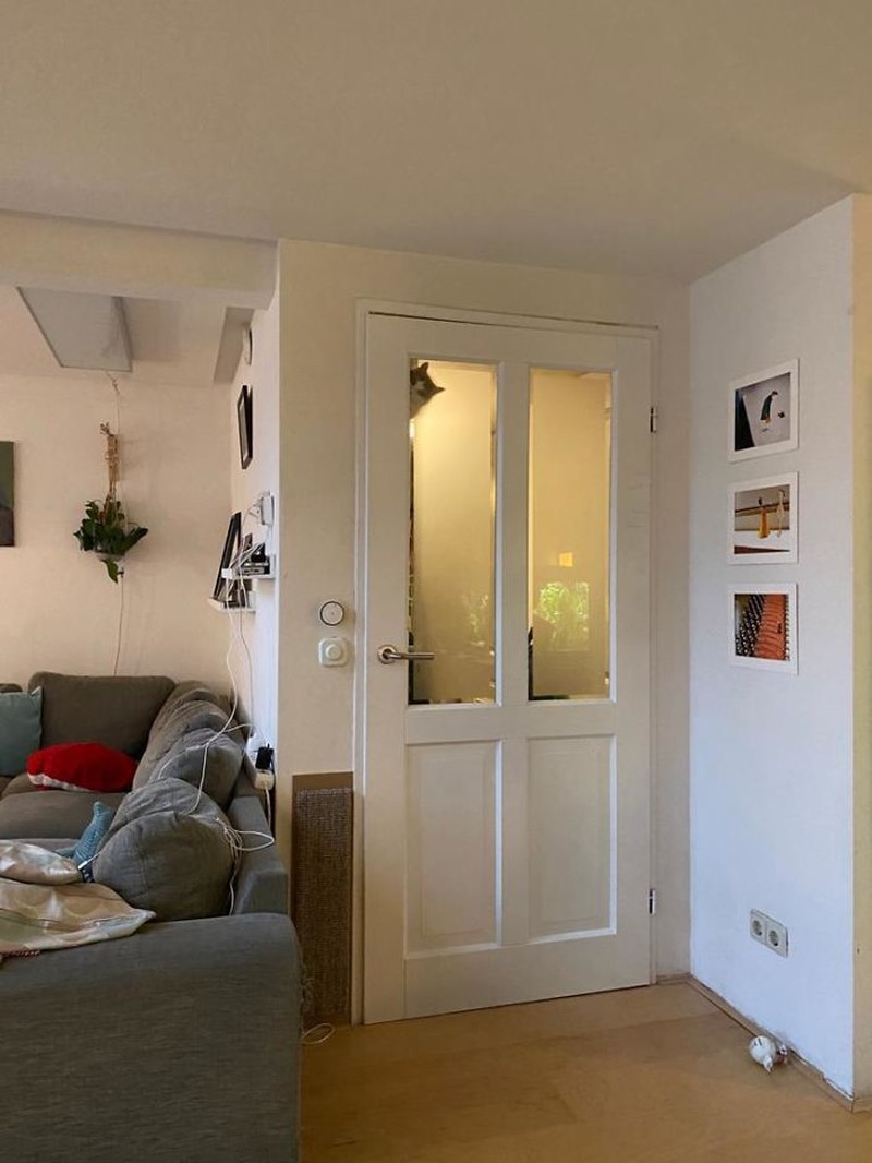 Kelakuan Si Kucing yang Bikin Ngakak, Posenya Aneh-aneh!