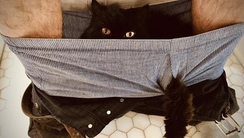 Ini yang terjadi begitu si mpus kelewat manja. Foto: Stoon_Slar via Bored Panda