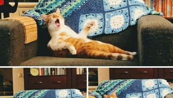 Iya, ada apa ya? Foto: cpw77 via Bored Panda