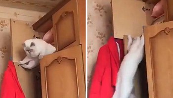 Ngapain sih, meng... Foto: 5_Frog_Margin via Bored Panda