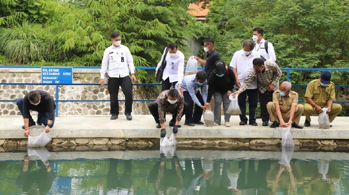 Kunjungan Kerja Menteri KKP di Yogyakarta Menteri Kelautan dan Perikanan Sakti Wahyu Trenggono melakukan rangkaian kerja dengan menebar benih Ikan Nilem di Embung Gadingan, Yogyakarta.