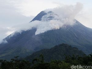 BPPTKG: Pertumbuhan Kubah Lava Gunung Merapi Rendah