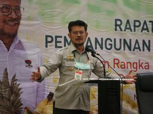 Intip Jurus Pemerintah Kawal Kebijakan & Penyaluran Pupuk Bersubsidi