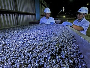 Harga Nikel Cerah, Produsen Targetkan Laba Setinggi-tingginya