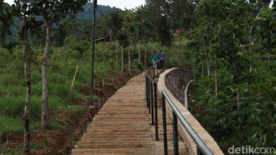 Ada Wisata Tangga Seribu di Bandung, Berani Coba?