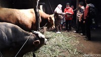 Pemerintah Kabupaten Boyolali bersama relawan melakukan pendataan hewan ternak milik warga di wilayah kawasan rawan bencana (KRB) III erupsi Gunung Merapi. 