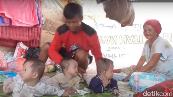 3 Bayi kembar korban gempa Sulbar di Mamuju yang kondisinya memprihatinkan di pengungsian (Abdy/detikcom).