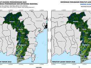 Curah Hujan dan Turunnya Luas Hutan di Balik Banjir Kalimantan Selatan