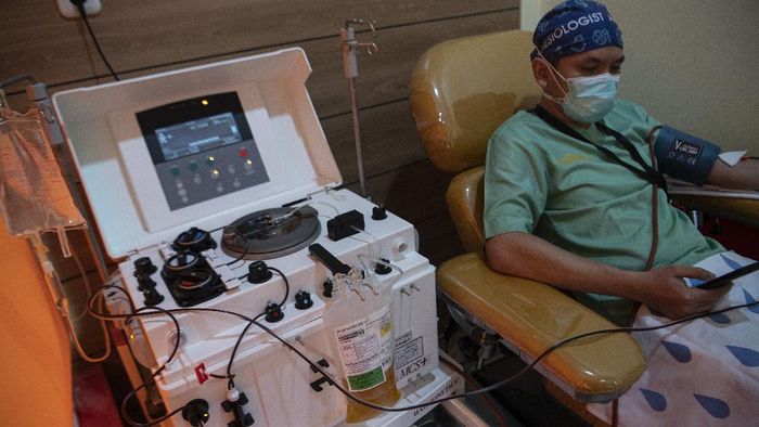Bantu Sembuhkan Pasien COVID-19, Begini Cara Kerja Terapi Plasma Konvalesen Terapi plasma konvalesen menjadi salah satu metode penyembuhan pasien COVID-19. Seperti apa cara kerja terapi plasma konvalesen ini?