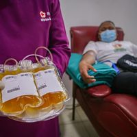 Respons Kemenkes Soal Plasma Konvalesen Tak Efektif Untuk COVID-19