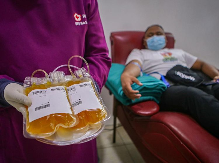 Ini Terapi Plasma Konvalesen yang Bantu Sembuhkan Pasien COVID-19