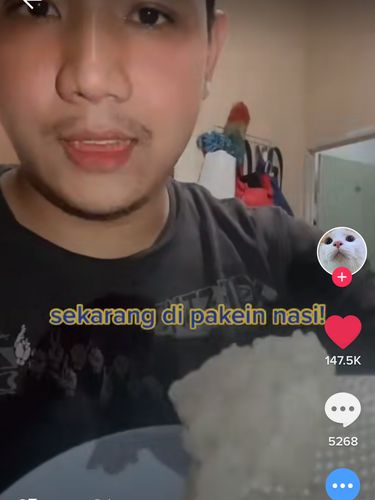 Cicip Makanan Kucing Pakai Nasi, Pria Ini Bilang Rasanya Gurih