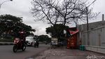 Hati-hati! Puncak Musim Hujan Pohon Rawan Tumbang