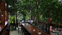 Menariknya, selain mengusung konsep klasik atau vintage, kafe tersebut juga dipenuhi dengan berbagai tanaman.