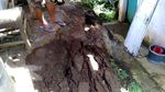 Rumah Rusak-Ambruk Akibat Tanah Gerak di Purworejo Terus Bertambah
