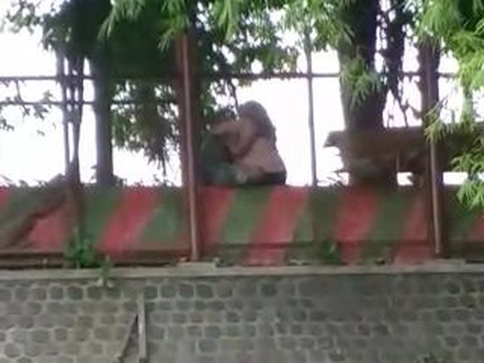 Video sejoli mesum di tempat wisata Kabupaten Pasuruan tersebar di media sosial. Rekaman aksi tak senonoh itu membuat warga heboh.